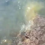 Plaża El Reducto zamknięta przez zrzuty ścieków na Lanzarote