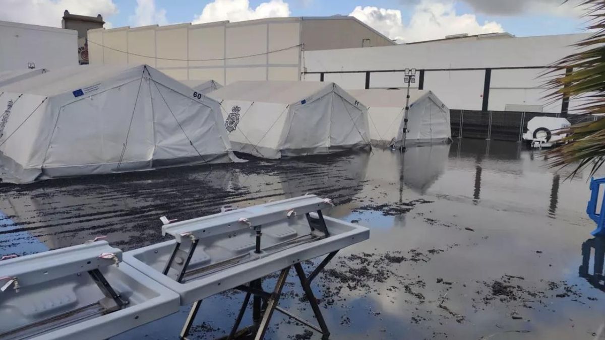 CATE Wyspy Kanaryjskie