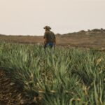 Gran Canaria turystyka brytyjska