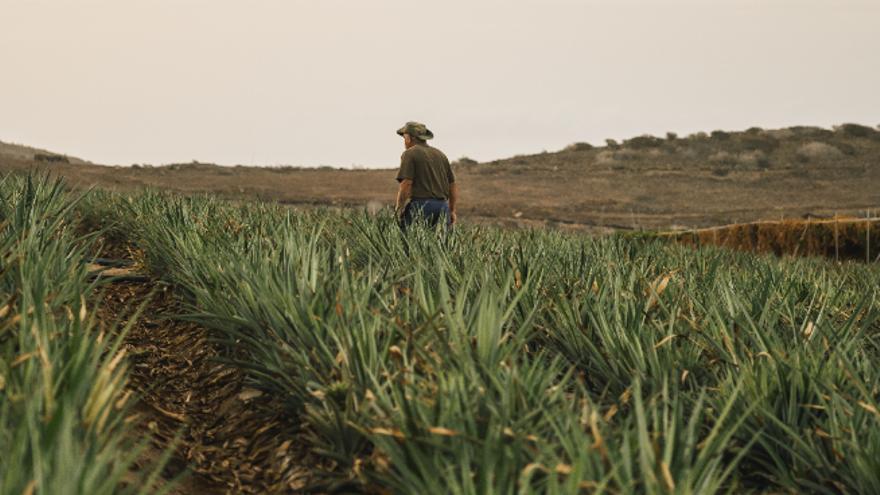 Gran Canaria turystyka brytyjska