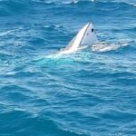 ratowanie tonących Lanzarote