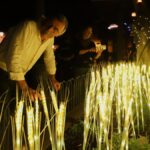 Festival de Artes Visuales y Escénicas La Palma