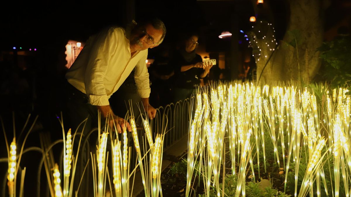 Festival de Artes Visuales y Escénicas La Palma