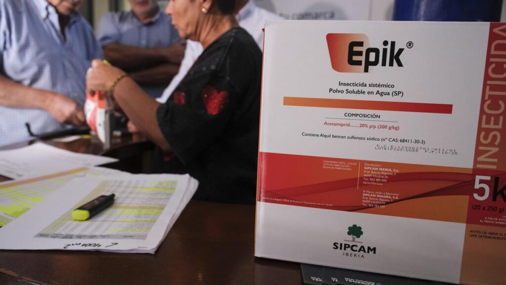 filoksera winorośli Teneryfa