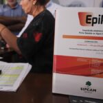 filoksera winorośli Teneryfa