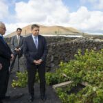 Filoksera na Teneryfie: Minister ostrzega przed zagrożeniem