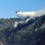 pożary lasów Gran Canaria