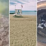 zanieczyszczenie plaż Wyspy Kanaryjskie