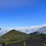 a mountain covered in clouds and trees