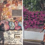 dwa swiaty teneryfy las mimosas anaza nierownosci