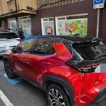 falszywa karta parkingowa dla niepelnosprawnych gran canaria