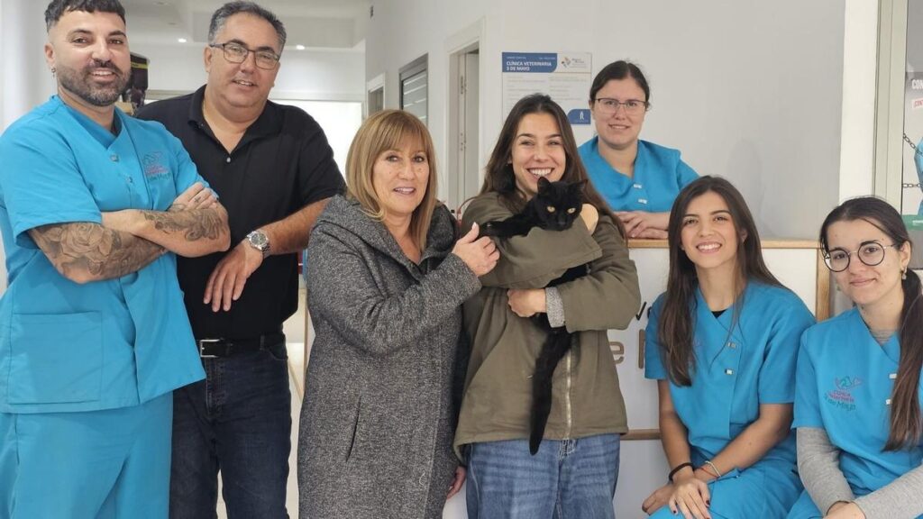 kot oreo odnaleziony po 7 latach teneryfa