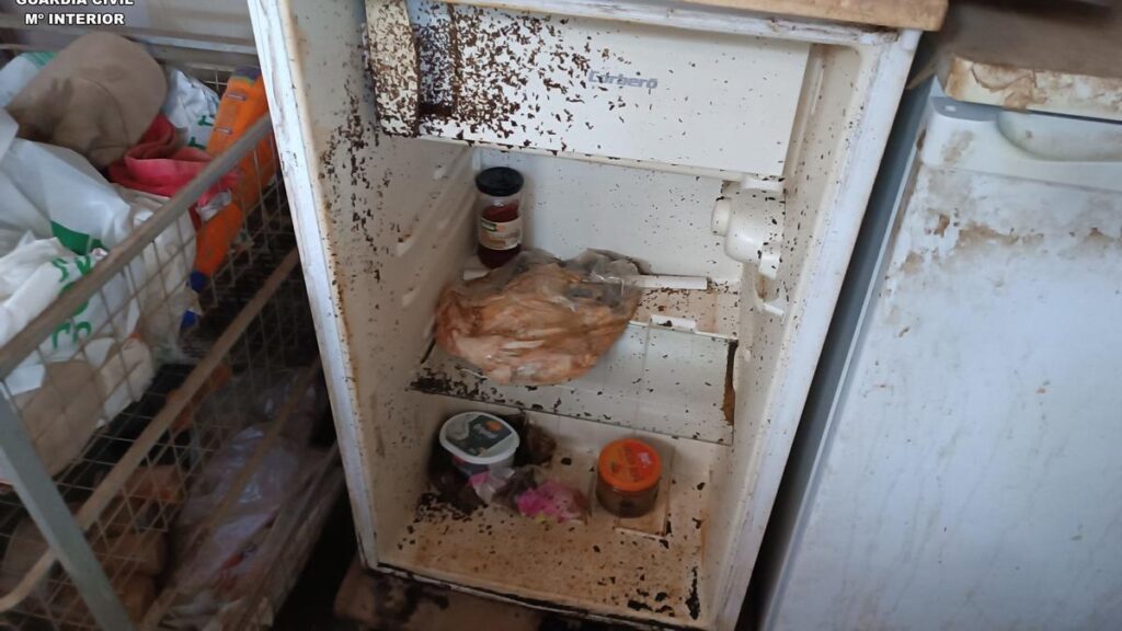 operacja seprona schronisko zwierzat aguimes gran canaria