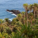 rambla de castro teneryfa ocalala przed zabudowa