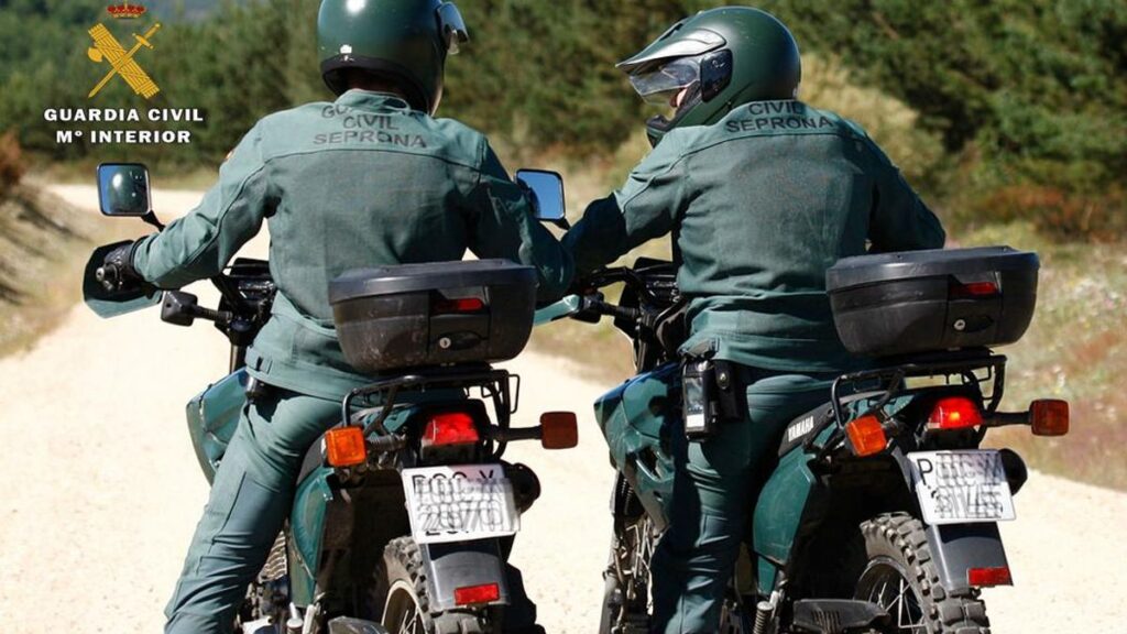 zatrzymanie maltretowanie zwierzat gran canaria vecindario