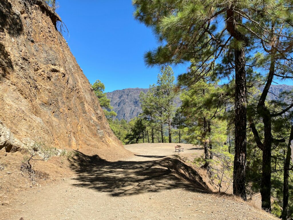A dirt road surrounded by trees and mountains