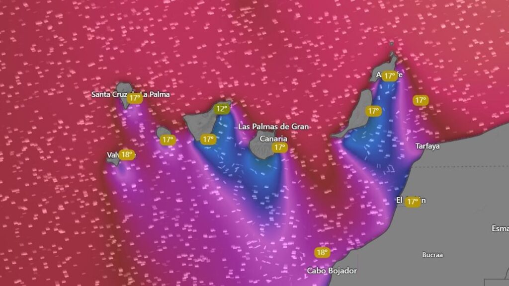 alert pomaranczowy olej fuerteventura lanzarote kanary