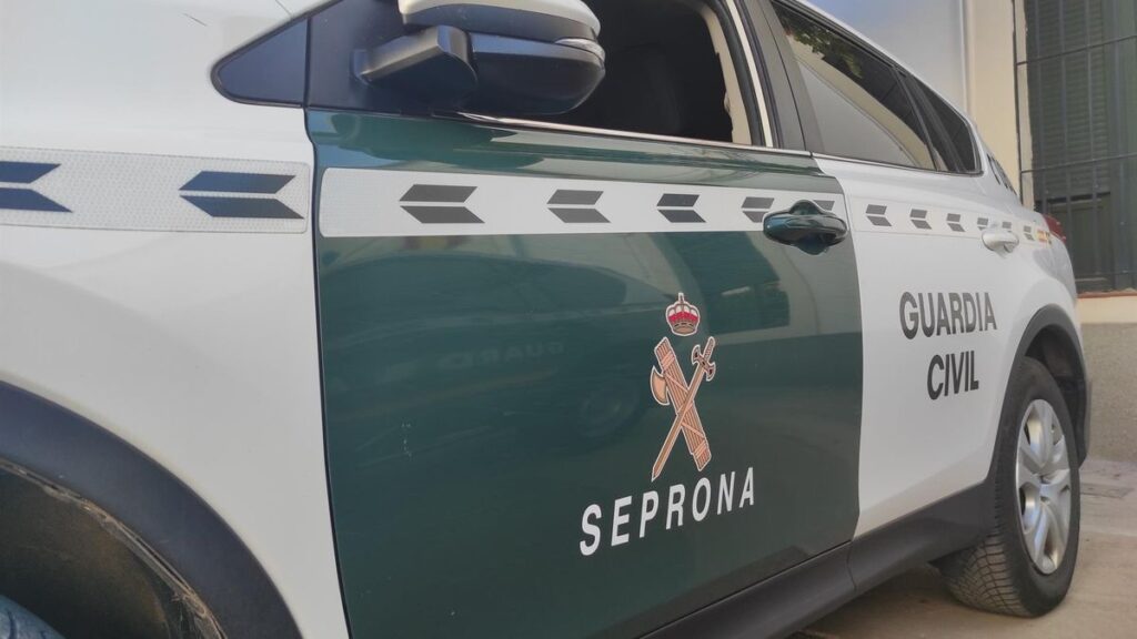 aresztowanie trener kon maltretowanie gran canaria