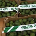 kradziez awokado teneryfa grupa zatrzymani