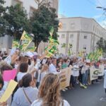 lekarze kanary strajk statut wlasny protesty