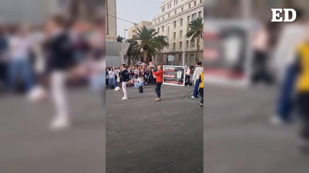 protest przed cabildo psy adepac nietykalne