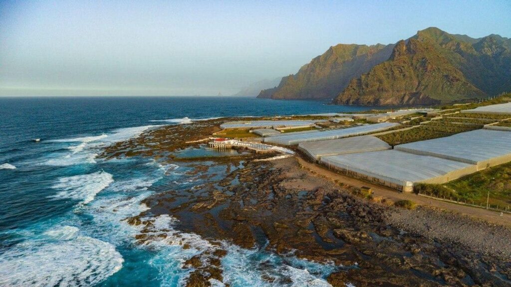 koniec klubu charco de la arena punta del hidalgo teneryfa