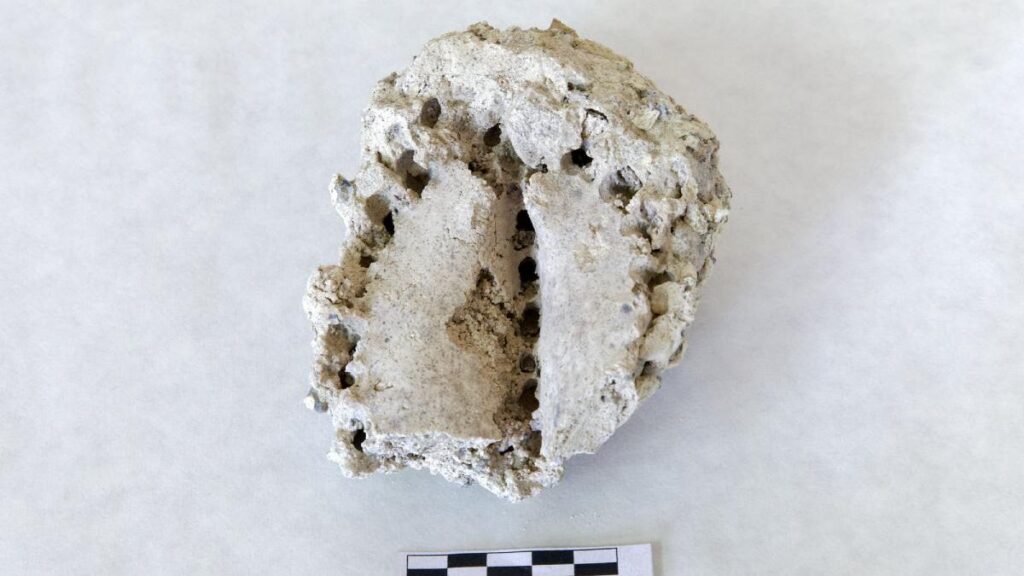 unikalne skamienialosci kardonow teneryfa zagrozone farma wiatrowa