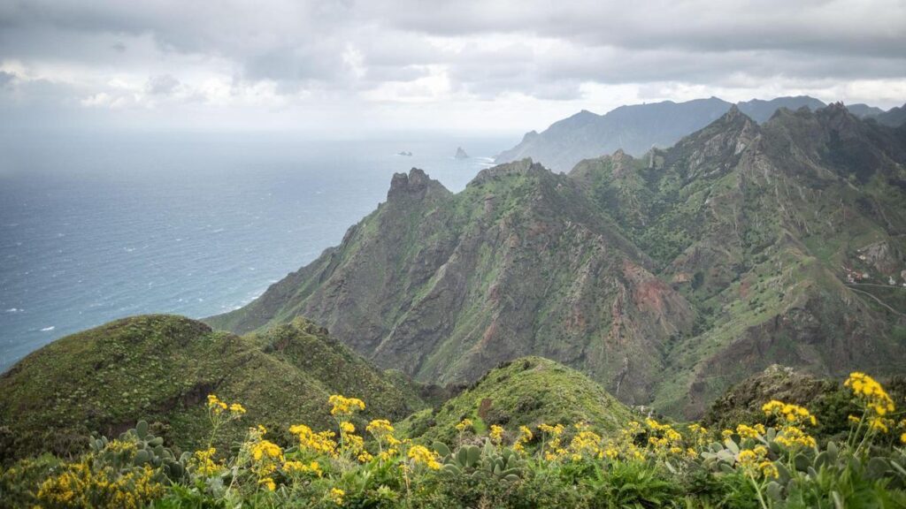 projekt canbio odkrycia wyspy kanaryjskie