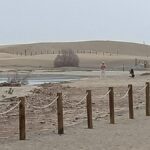 turysci wstepuja na chroniony teren dunas de maspalomas