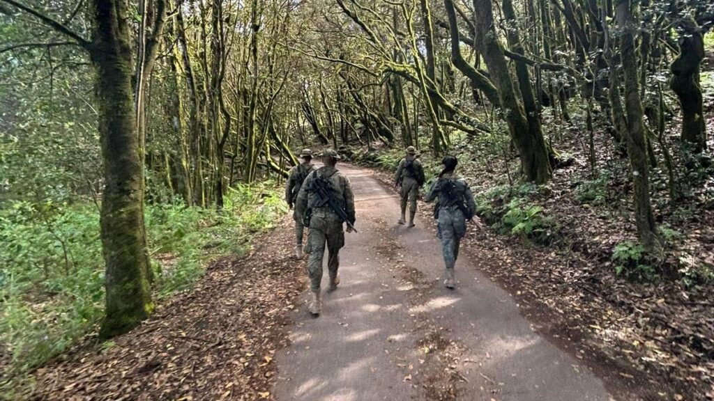 wojsko patrole la gomera el hierro