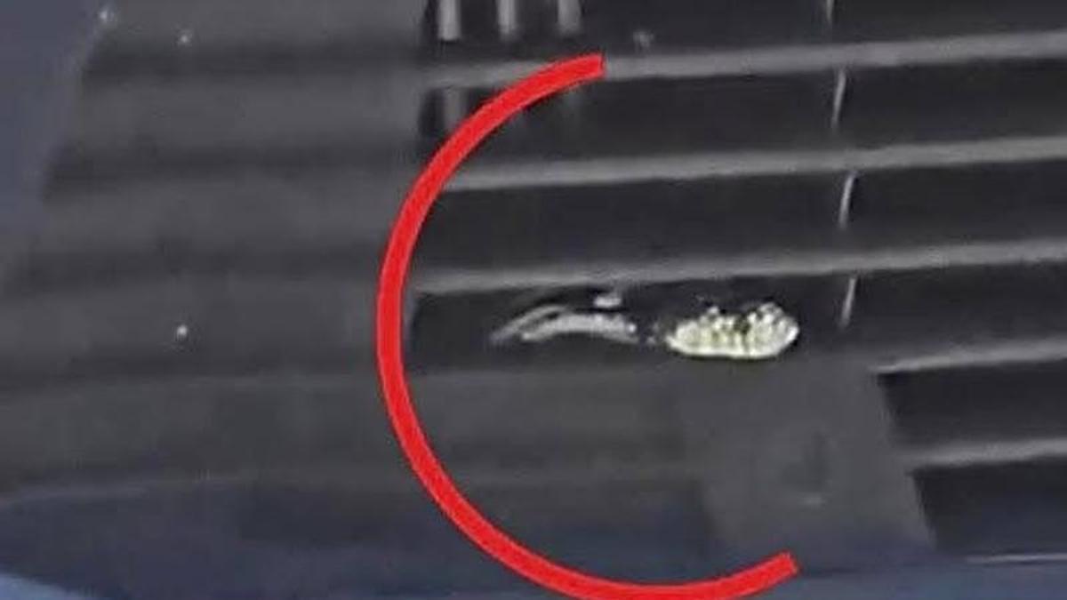 Placeholder