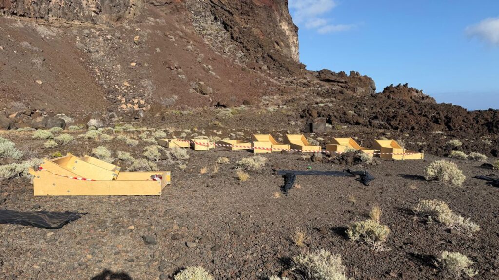 betonowe lezaki el hierro kontrowersje