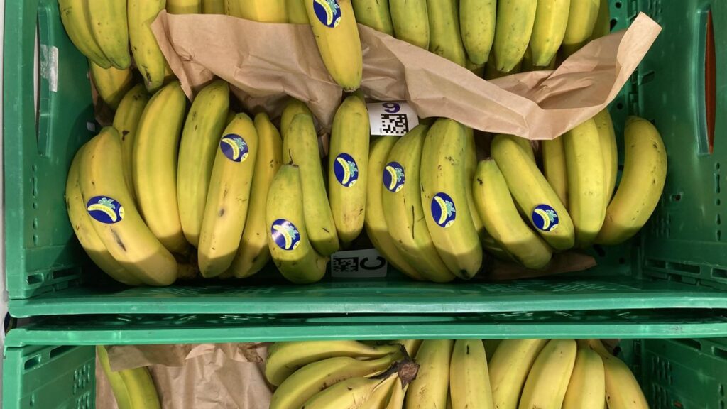 platan kanaryjski traci rynek banana hiszpania