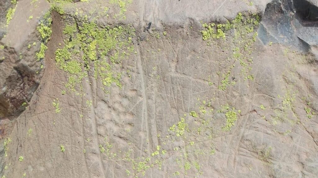 wandalizm petroglify guanche teneryfa 2026