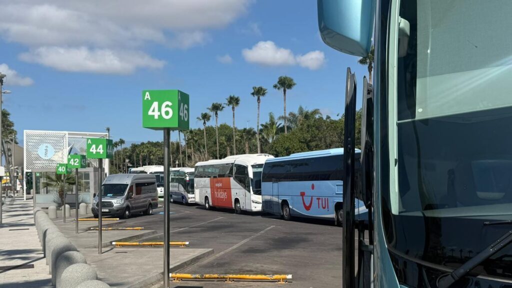 chaos lotnisko tenerife sur system autobusy