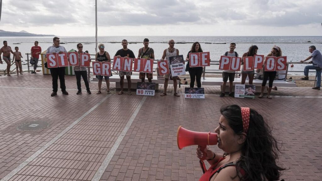 farma osmiornic port las palmas wycofanie projektu