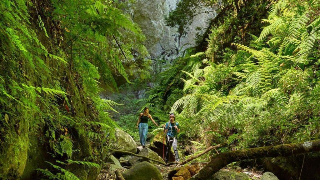 la palma rekordowy wzrost turystow z niemiec