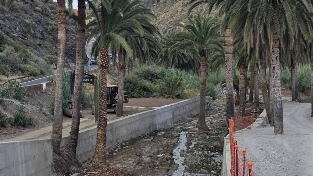 palmy w betonie la gomera kontrowersje
