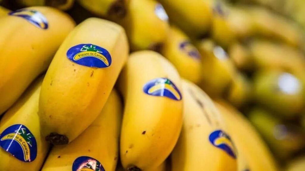 ceny bananow wyspy kanaryjskie straty rolnikow