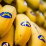 ceny bananow wyspy kanaryjskie straty rolnikow