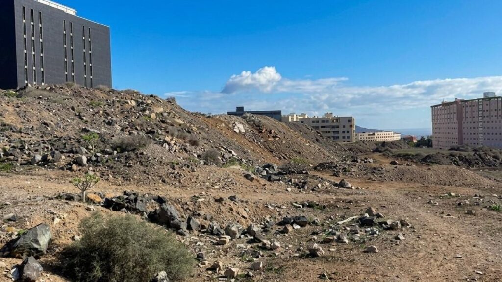 las palmas 240 mieszkan chronionych las torres