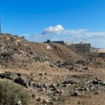 las palmas 240 mieszkan chronionych las torres