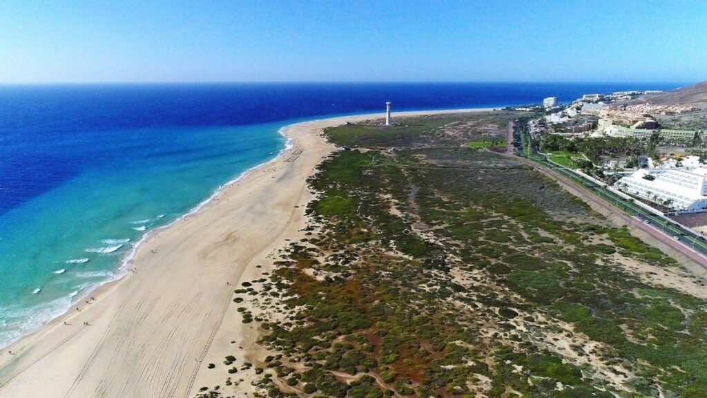 lopesan koncesja playa del matorral sad najwyzszy