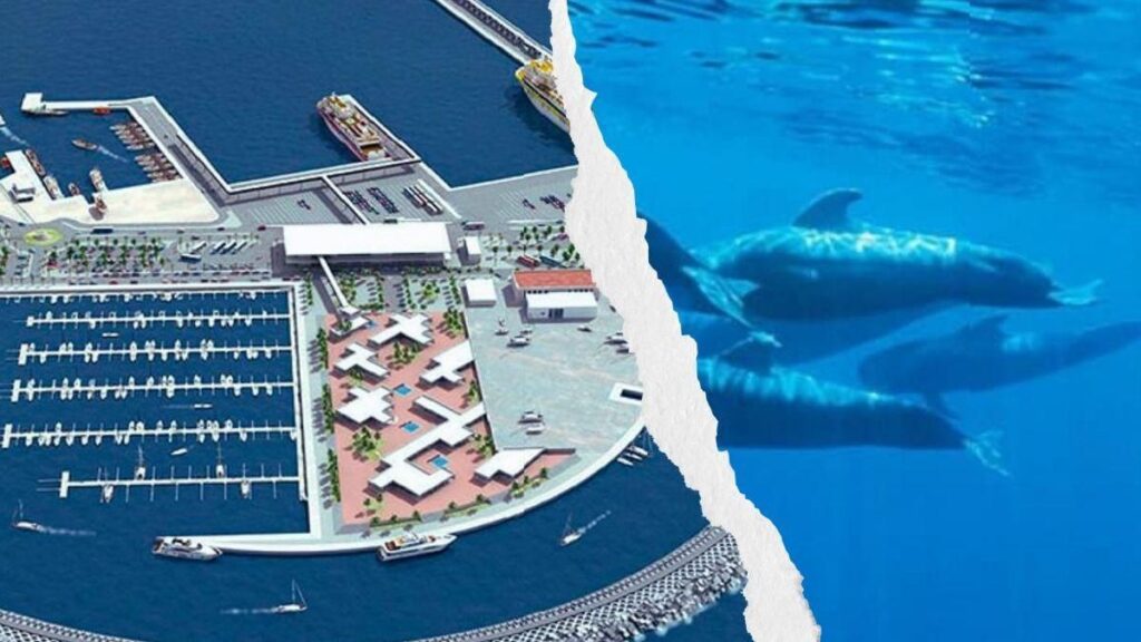 port fonsalia teneryfa nowe plany