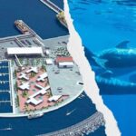 port fonsalia teneryfa nowe plany