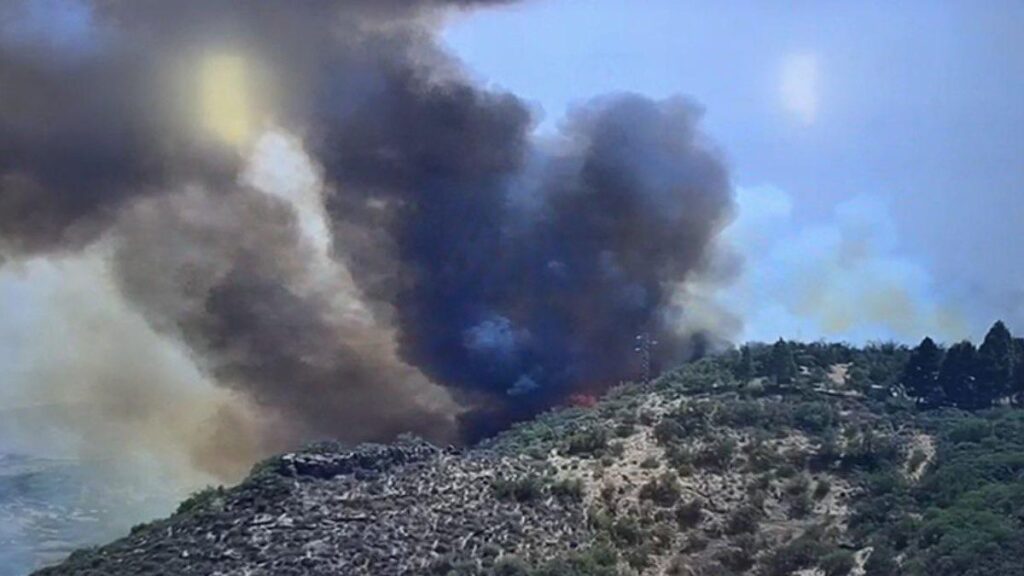 pozar telde gran canaria los cazadores