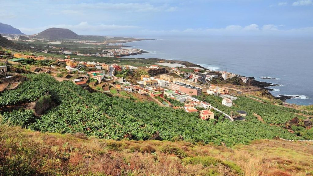 buenavista del norte villa de mazo ferrero rocher