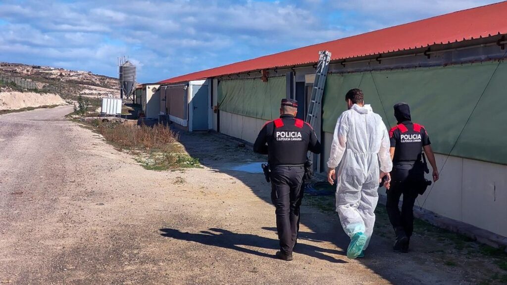 nielegalne wysypisko teneryfa azbest