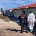 nielegalne wysypisko teneryfa azbest