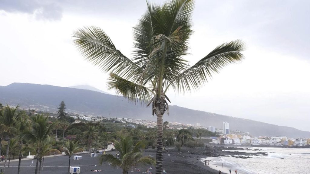 playa jardin puerto cruz ponownie otwarta